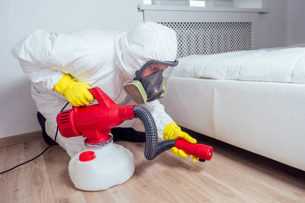 Best Bed Bug Extermination  in Kittredge, CO